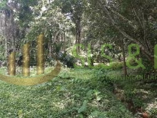 sitio-venda-serra-da-cantareira-bairro-juqueri‐mirim-mairipora-sp--365031