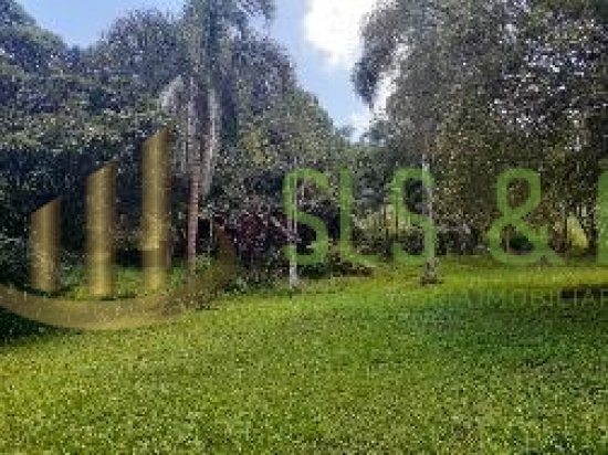 sitio-venda-serra-da-cantareira-bairro-juqueri‐mirim-mairipora-sp--365039
