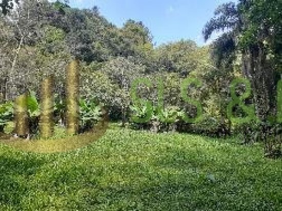 sitio-venda-serra-da-cantareira-bairro-juqueri‐mirim-mairipora-sp--365040