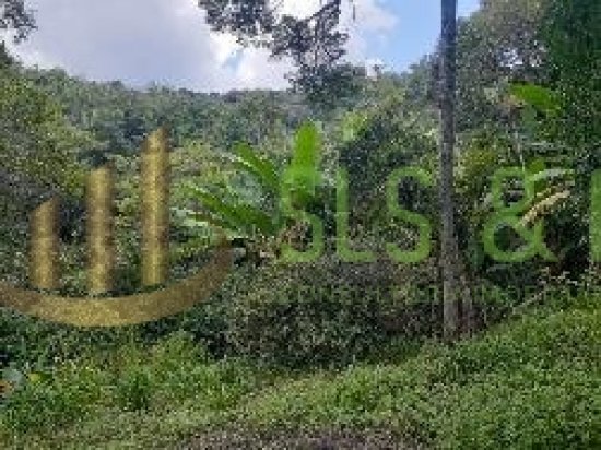 sitio-venda-serra-da-cantareira-bairro-juqueri‐mirim-mairipora-sp--365041