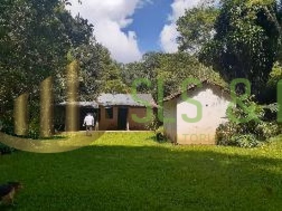 sitio-venda-serra-da-cantareira-bairro-juqueri‐mirim-mairipora-sp--365043